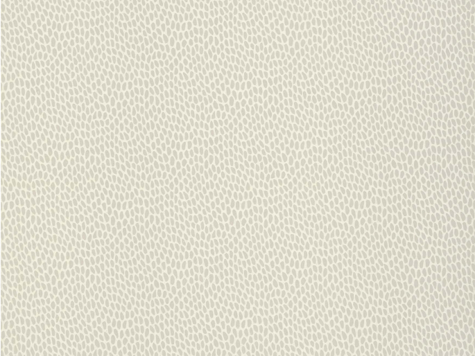 Paint & Paper Library Seedpod - Wattle
