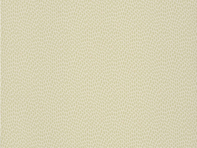 Paint & Paper Library Seedpod - Willow V
