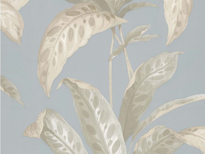 Paint & Paper Library Tropicane - Sea Nor Sky